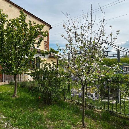 Green House Accommodation Cascina Εξωτερικό φωτογραφία