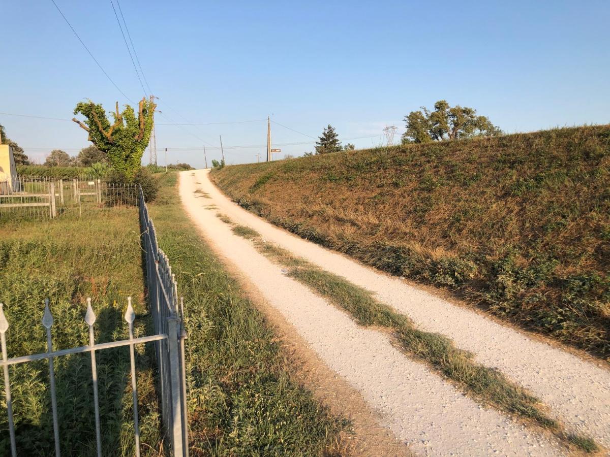 Green House Accommodation Cascina Εξωτερικό φωτογραφία