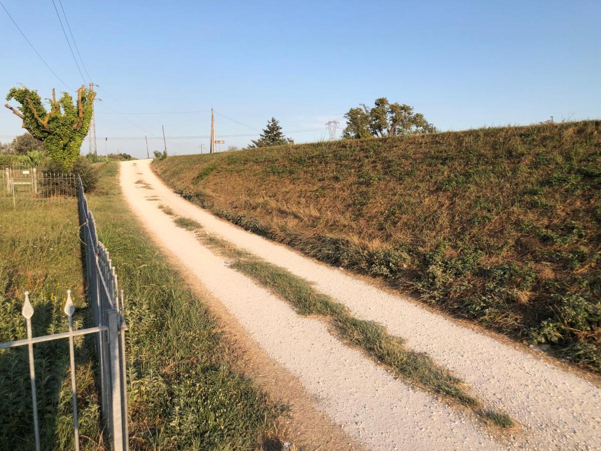 Green House Accommodation Cascina Εξωτερικό φωτογραφία