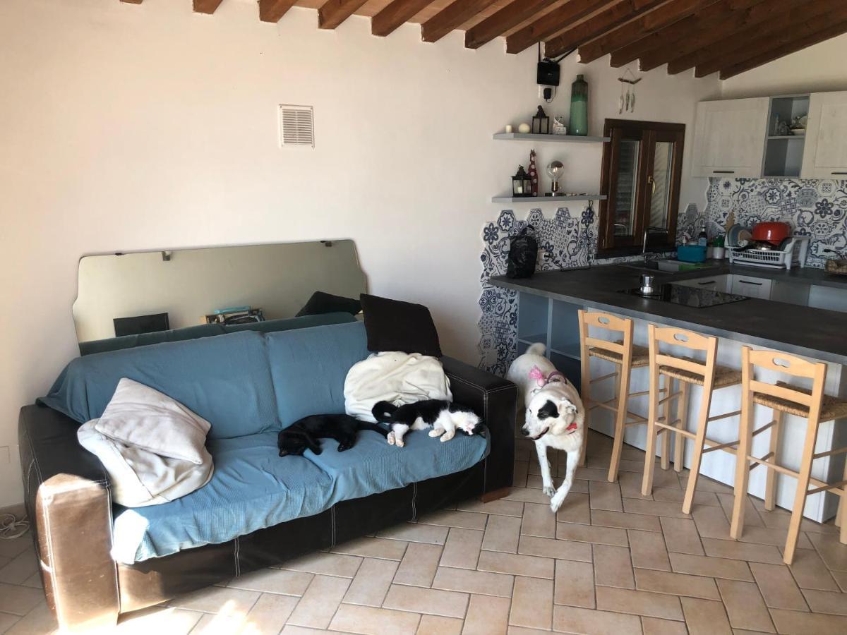 Green House Accommodation Cascina Εξωτερικό φωτογραφία