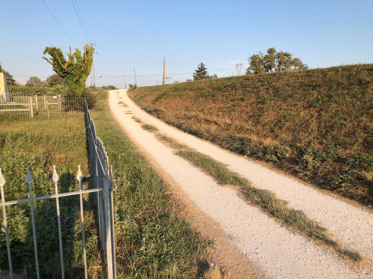 Green House Accommodation Cascina Εξωτερικό φωτογραφία