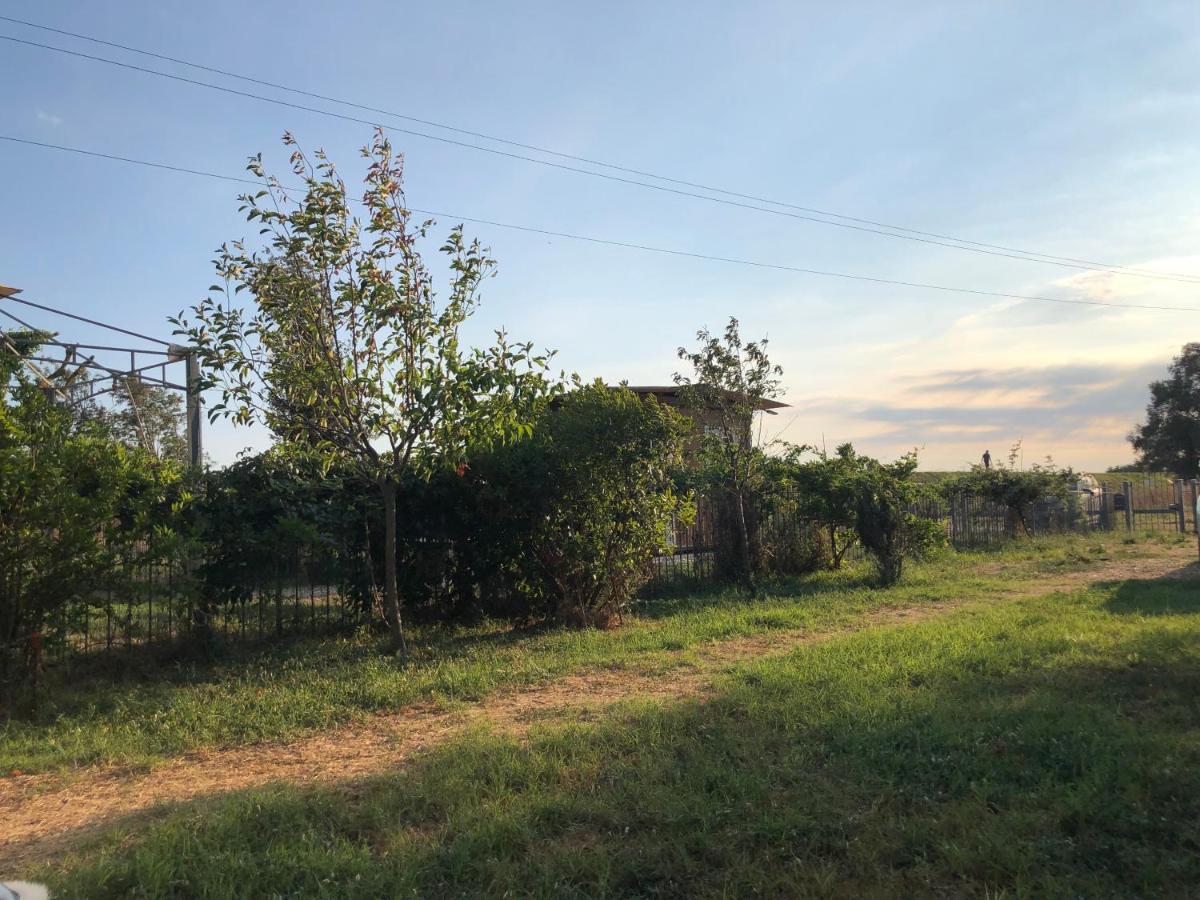 Green House Accommodation Cascina Εξωτερικό φωτογραφία