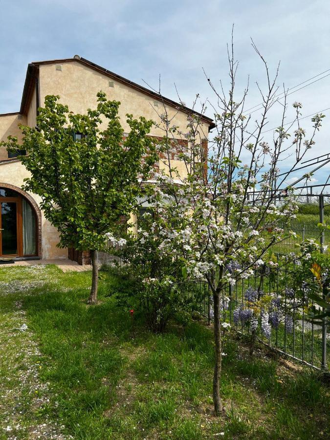 Green House Accommodation Cascina Εξωτερικό φωτογραφία
