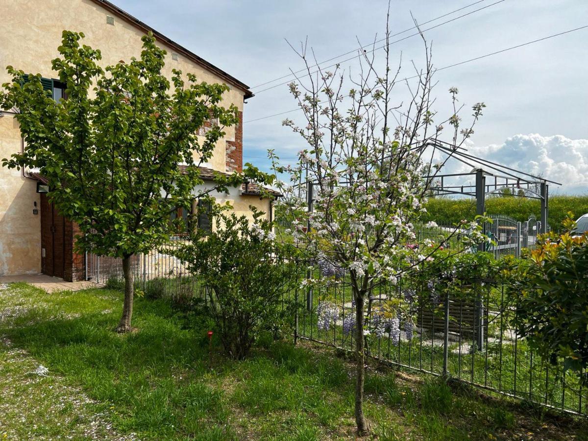 Green House Accommodation Cascina Εξωτερικό φωτογραφία